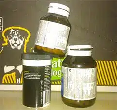 human vitamins for dogs