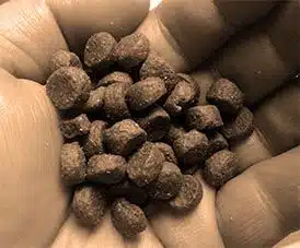 hadful of dog kibble