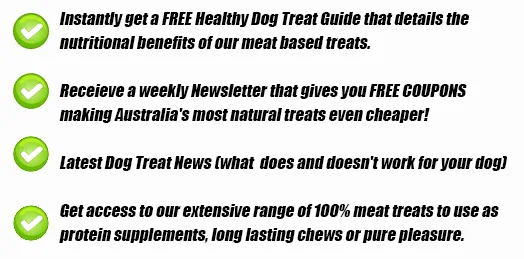 Newsletter REGO HEALTHY DOG TREATS