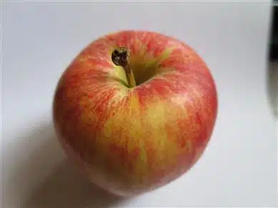 Apples are NOT healthy dog treats