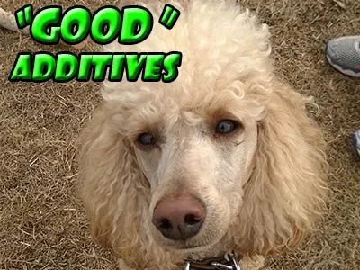 good-additives dog food