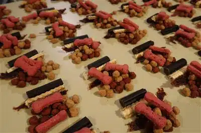 Healthy dog treat sponsor pack Bark for Life