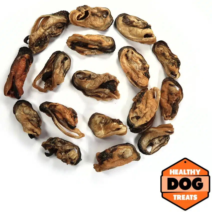 Green Lipped Mussels - Image 2