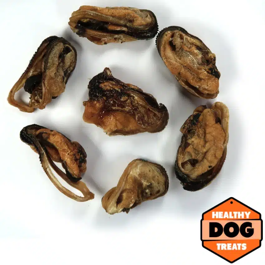 green lipped mussels fish treat - Bruces Healthy Dog Treats