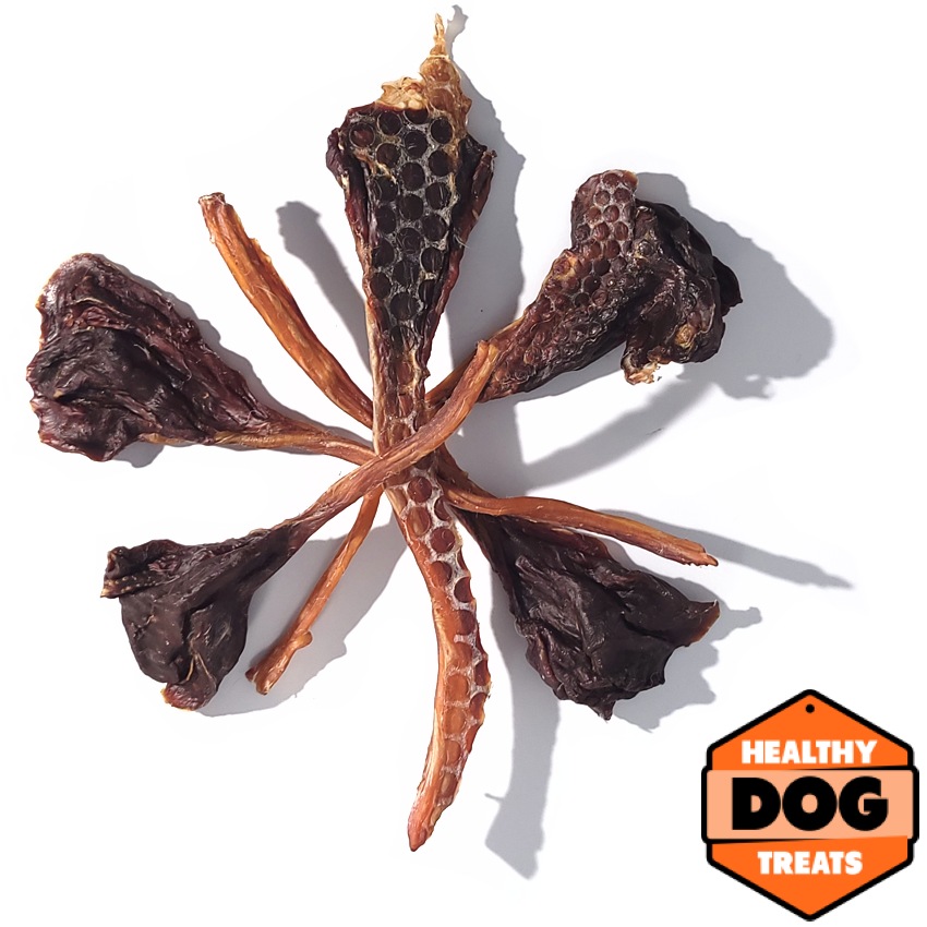 KANGAROO tendons VARIOUS Bruce Healthy Dog Treats