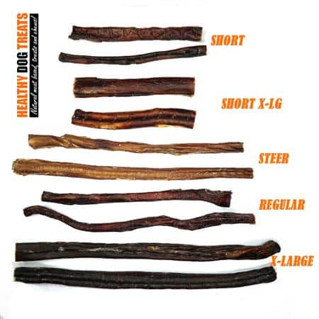 Bully stick GUIDE in Australia - A stick for every dog! - HEALTHY DOG TREATS
