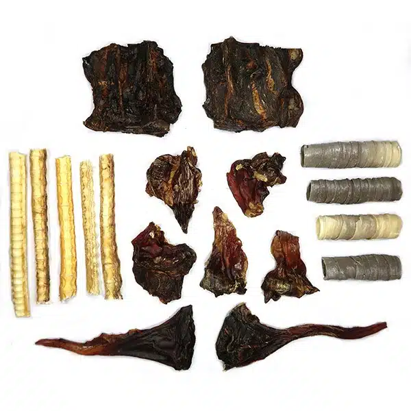 Medium-chewer-17jul18