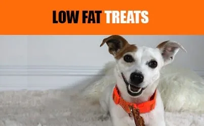 For dogs with weight issues or pancreatitis