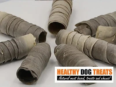 Shark skin dog treat