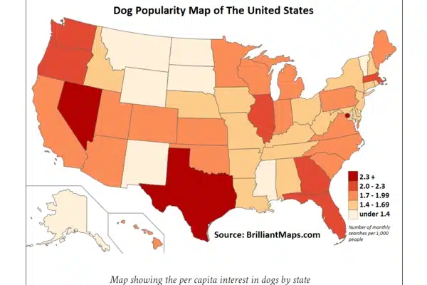 dog popularity usa 2020