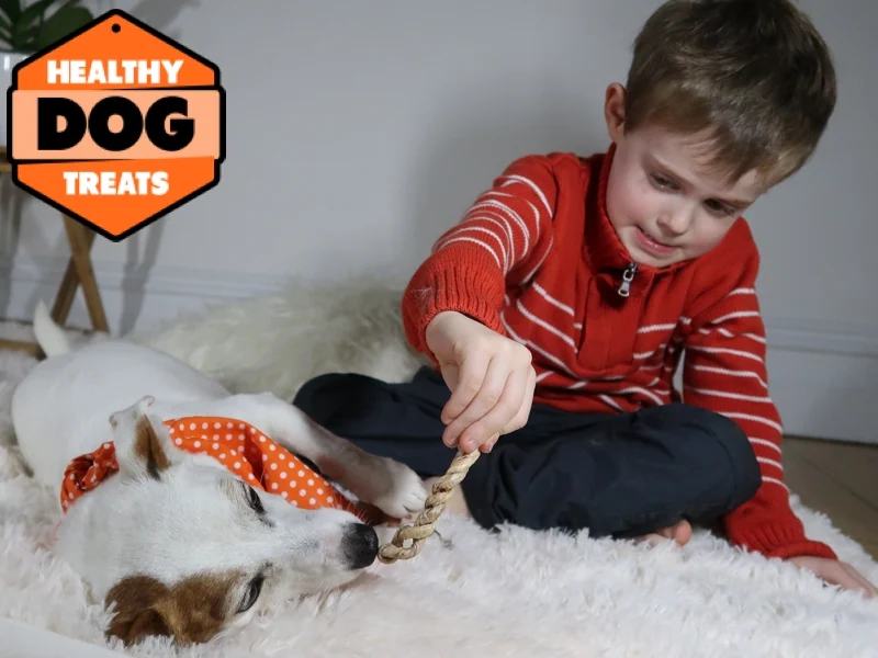 dog treats for specific uses