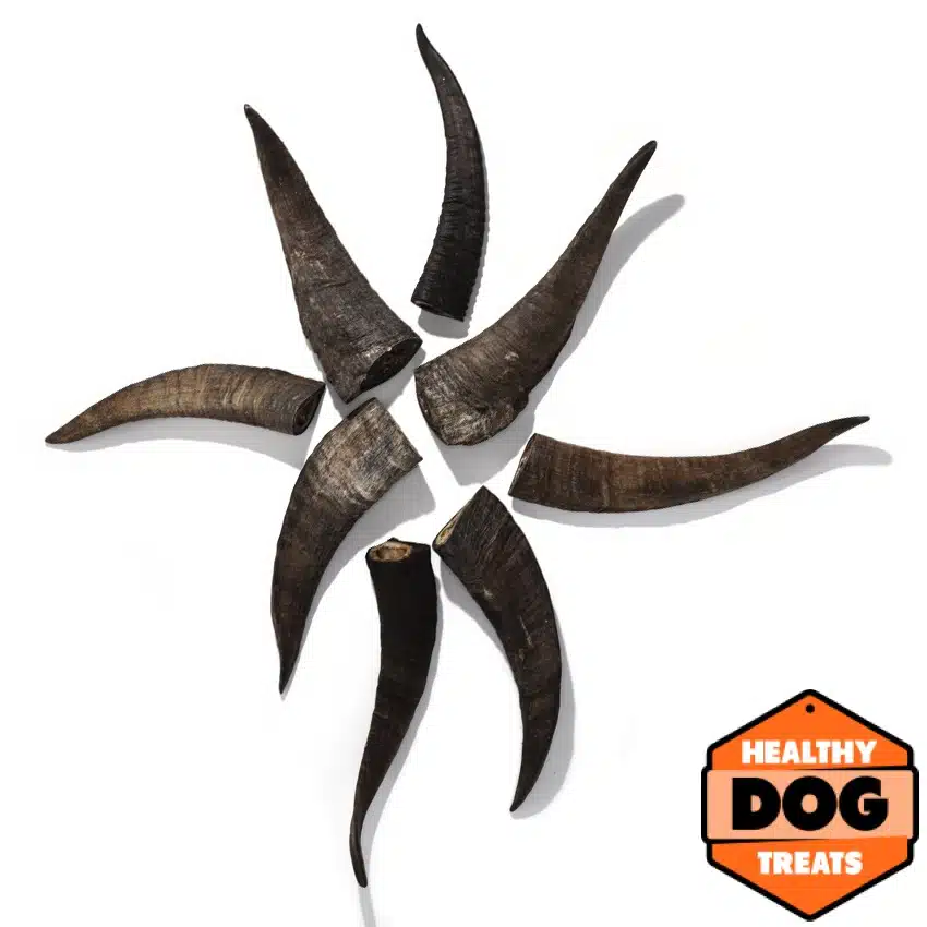 Goat Horn - Bruces healthy dog treats