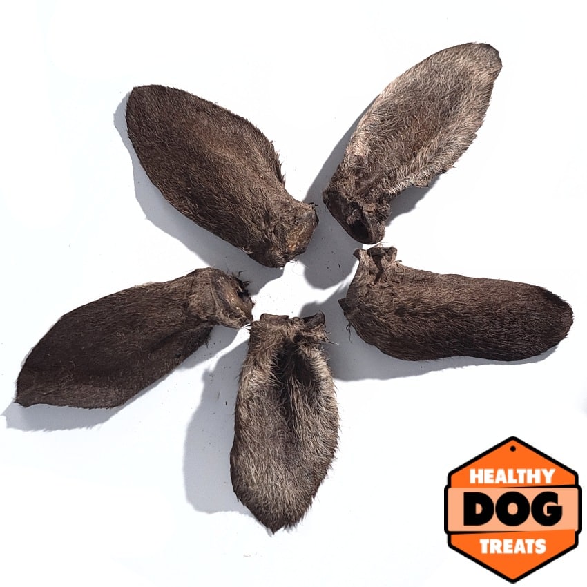 Kangaroo Ears - Bruce's Healthy Dog Treats