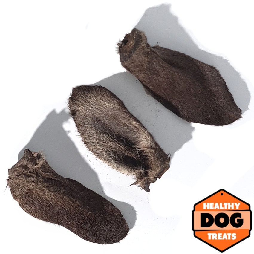 Kangaroo Ears - Bruce's Healthy Dog Treats