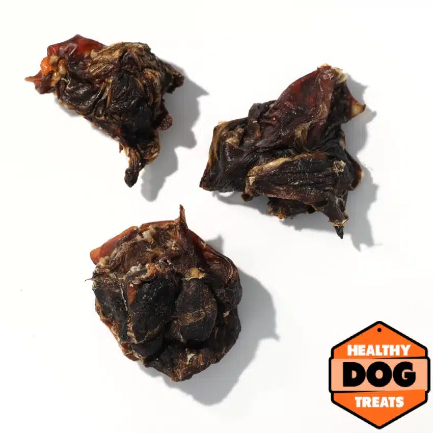 Kangaroo Cartilage - Image 2