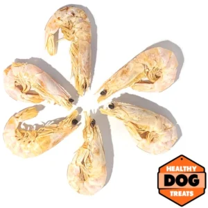 Prawn Healthy Dog Treats By Bruce