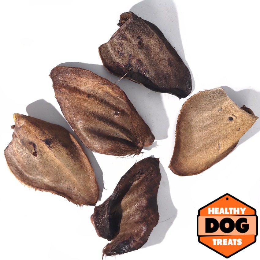 Cow Ears - Large (Hair On) - Image 2