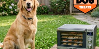 Microbiological Hazards in Dry Dog Treats from dehydration/ freeze-drying processing